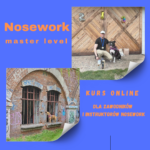 Nosework master level – kurs online dla zawodników i instruktorów nosework