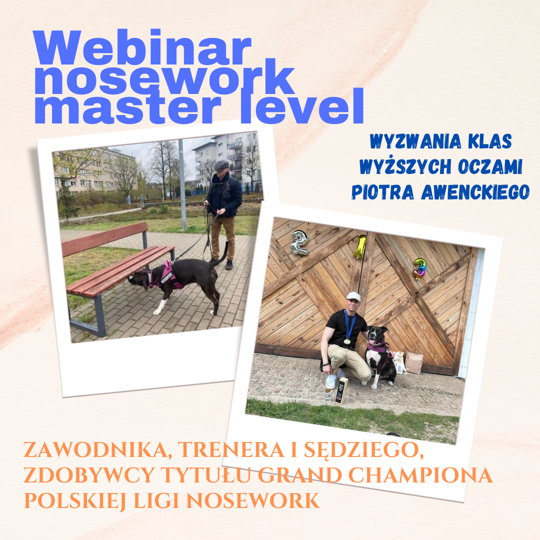 Webinar