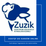 Dostęp do kursów online – instrukcja logowania do materiałów