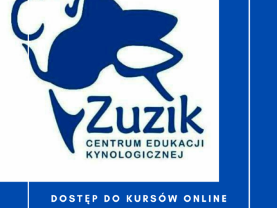 Dostęp do kursów online – instrukcja logowania do materiałów