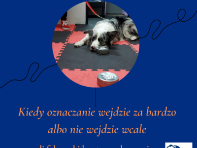 Webinar nosework: Kiedy oznaczanie wejdzie za bardzo albo nie wejdzie wcale czyli fałszywki kontra podgryzanie