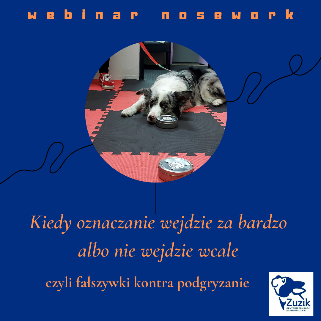 webinar nosework