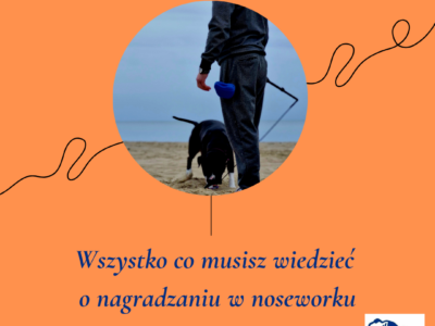 Webinar – wszystko co musisz wiedzieć o nagradzaniu w noseworku