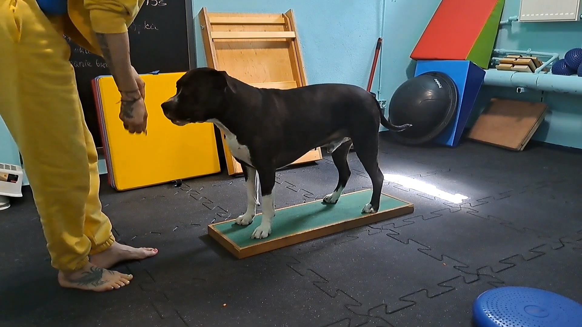 VideoCapture_20250220-180821