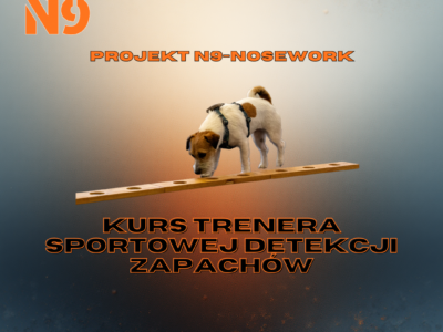 N9-nosework – Kurs Trenera Sportowej Detekcji Zapachów (w trakcie przygotowania)